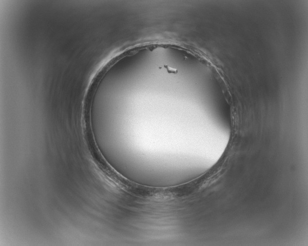 X0000064720248200603031623