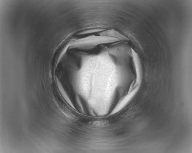 X0000064720251200603031623