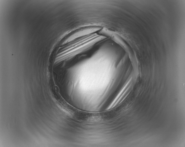 X0000064720252200603031623