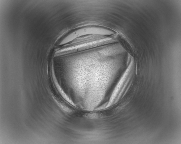 X0000064720253200603031623