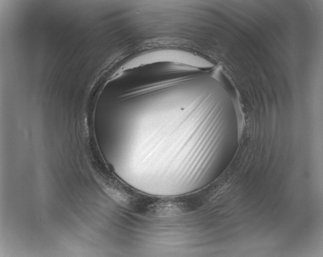 X0000064720254200603031623