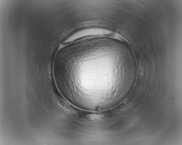 X0000064720255200603031623