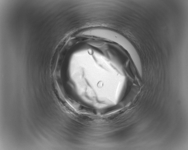 X0000064720256200603031623