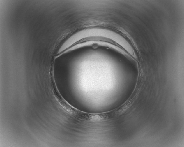 X0000064720257200603031623