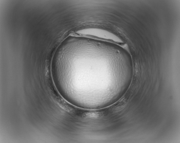 X0000064720259200603031623