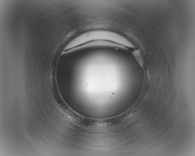 X0000064720260200603031623