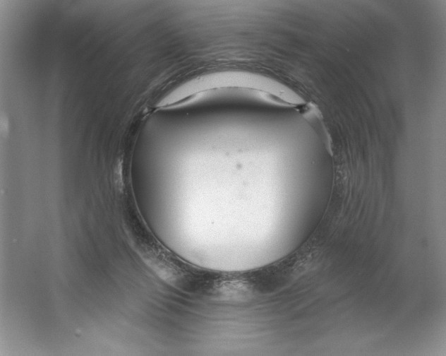 X0000064720262200603031623