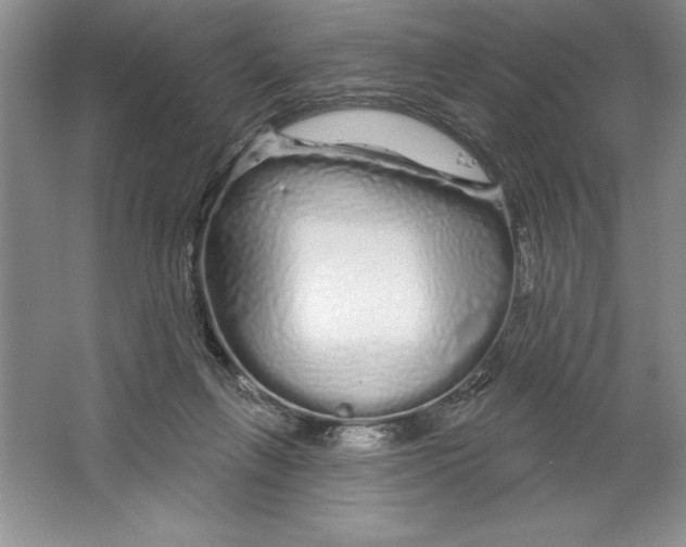 X0000064720263200603031623