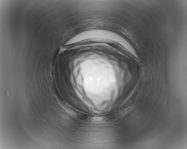 X0000064720265200603031623