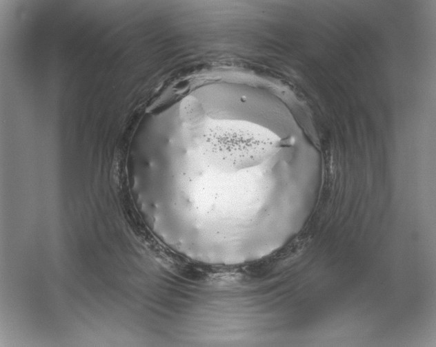 X0000064720266200603031623