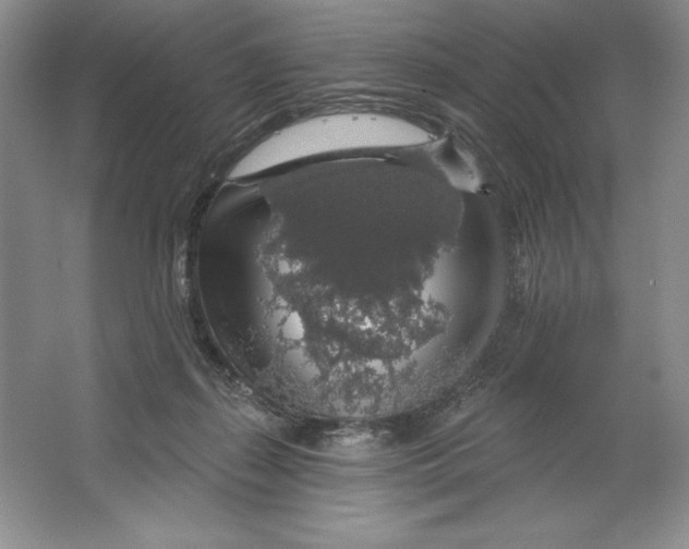 X0000064720267200603031623