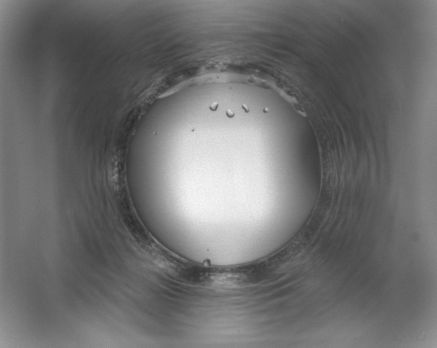 X0000064720268200603031623