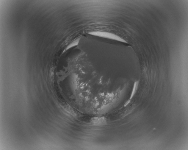 X0000064720271200603031623