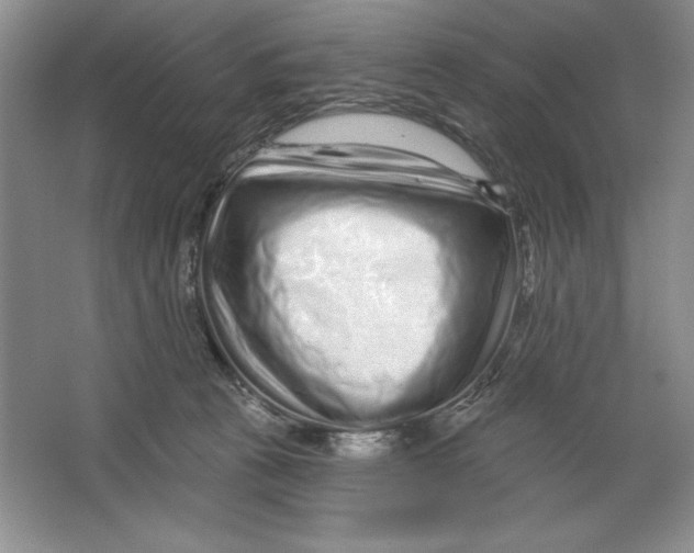 X0000064720273200603031623