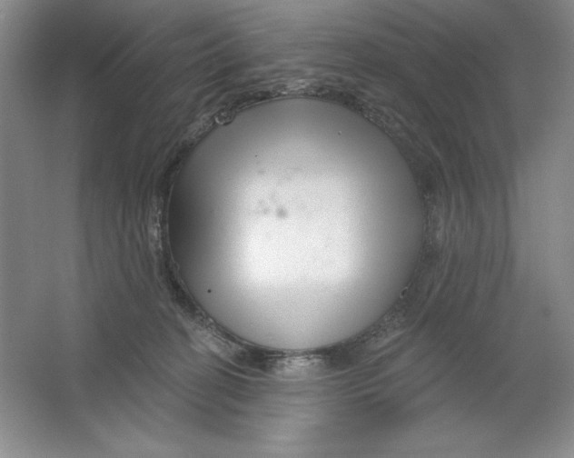 X0000064720274200603031623