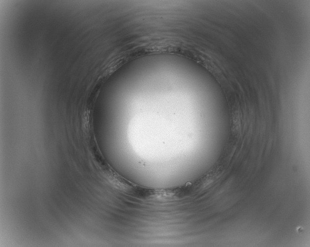 X0000064720278200603031623