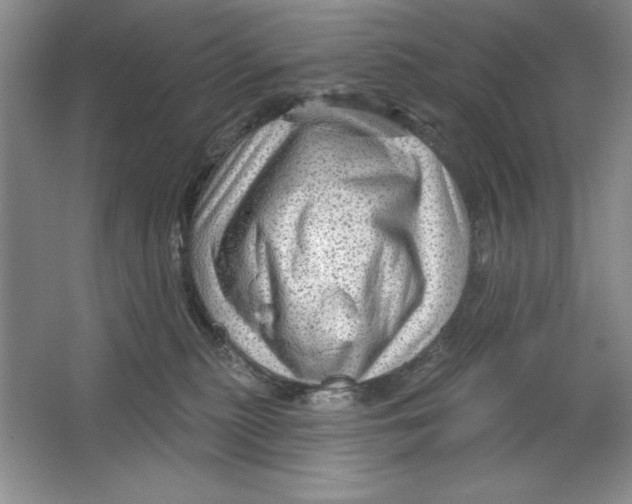 X0000064720279200603031623