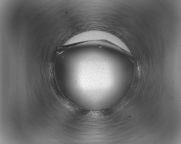 X0000064720280200603031623