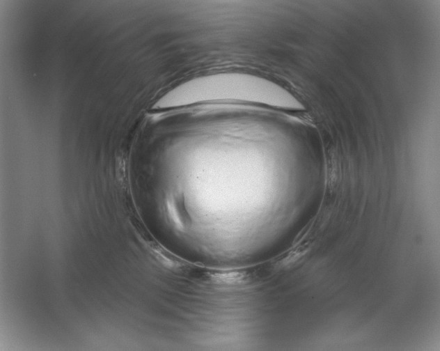 X0000064720281200603031624