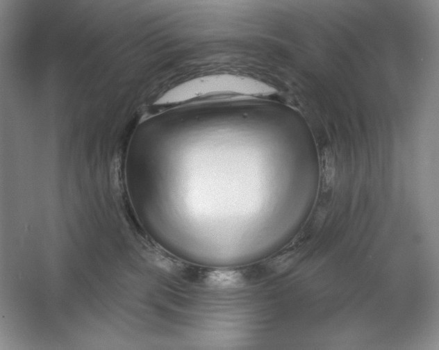 X0000064720283200603031624