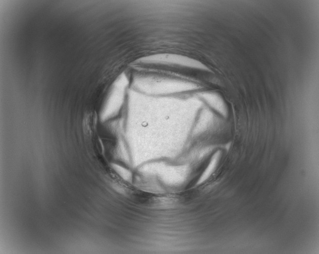 X0000064720286200603031624