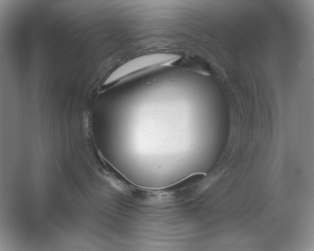 X0000064720288200603031624