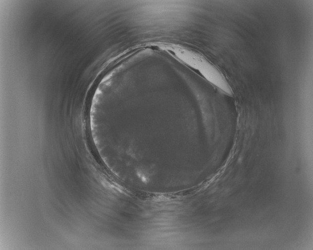 X0000064720290200603031623
