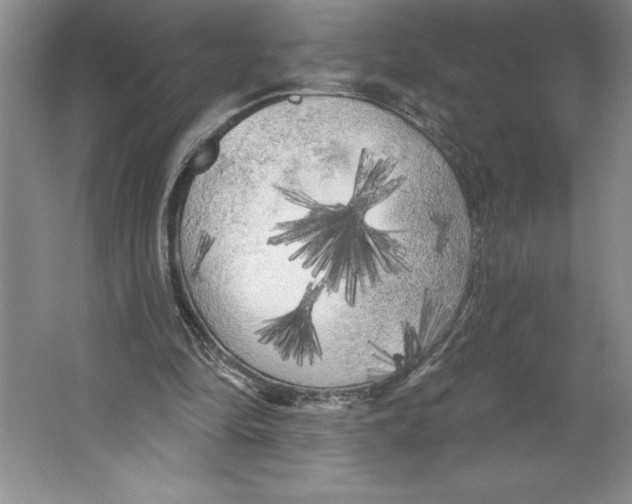 X0000064720294200603031623