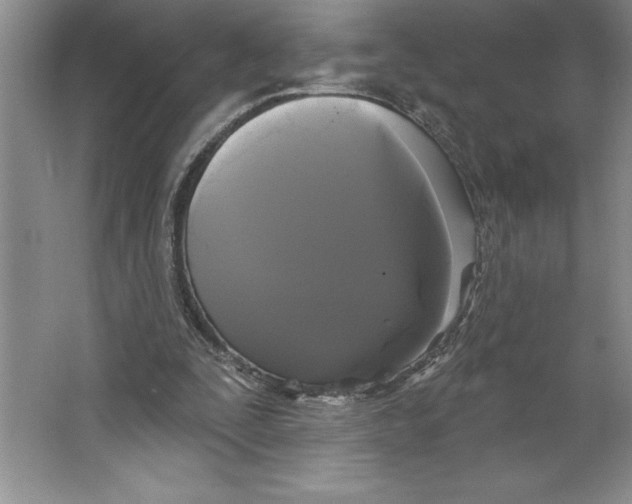 X0000064720295200603031623