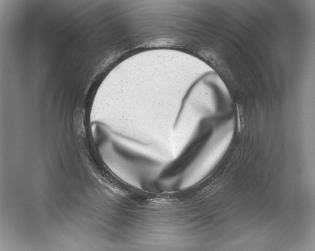 X0000064720300200603031623