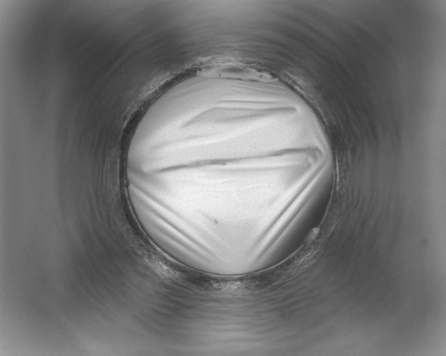 X0000064720301200603031623