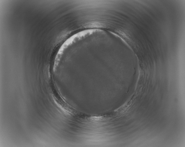 X0000064720302200603031623