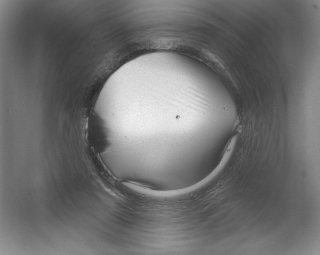 X0000064720307200603031622