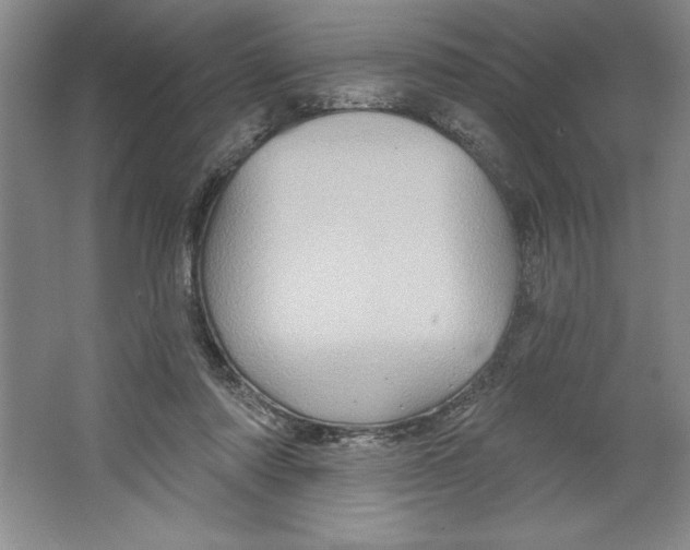 X0000064720310200603031622