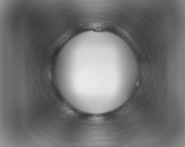 X0000064720313200603031622