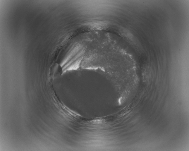 X0000064720314200603031622
