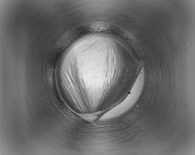 X0000064720315200603031622