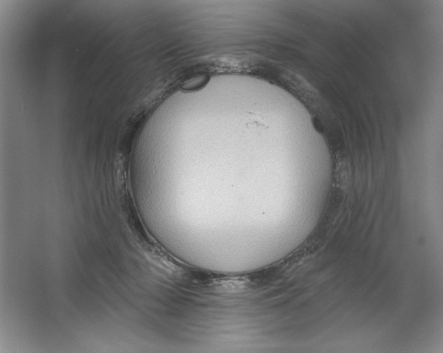 X0000064720318200603031622