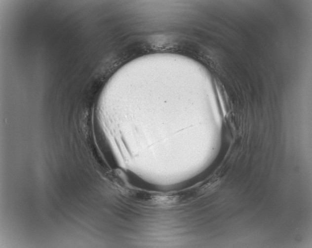 X0000064720319200603031622