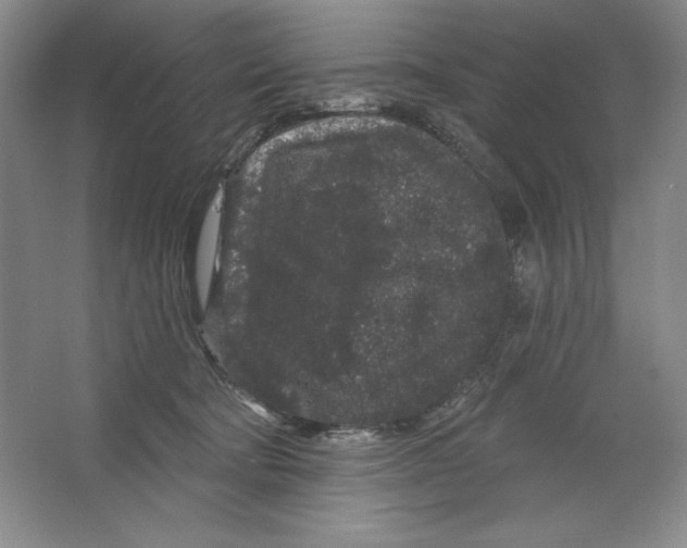 X0000064720322200603031622