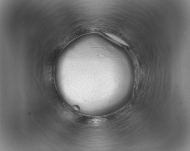 X0000064720323200603031622