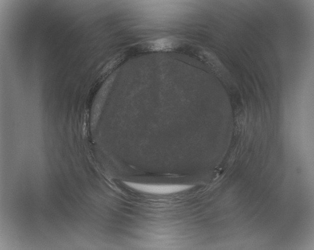 X0000064720325200603031622