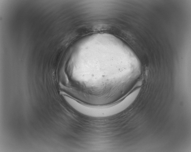 X0000064720327200603031622