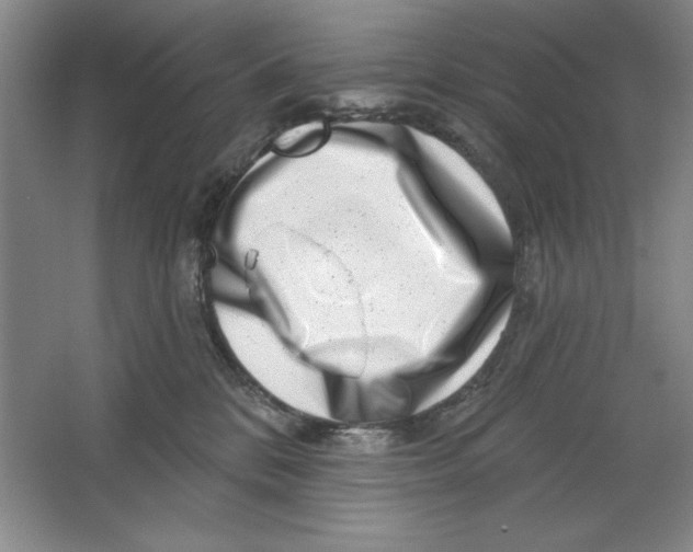 X0000064720328200603031622
