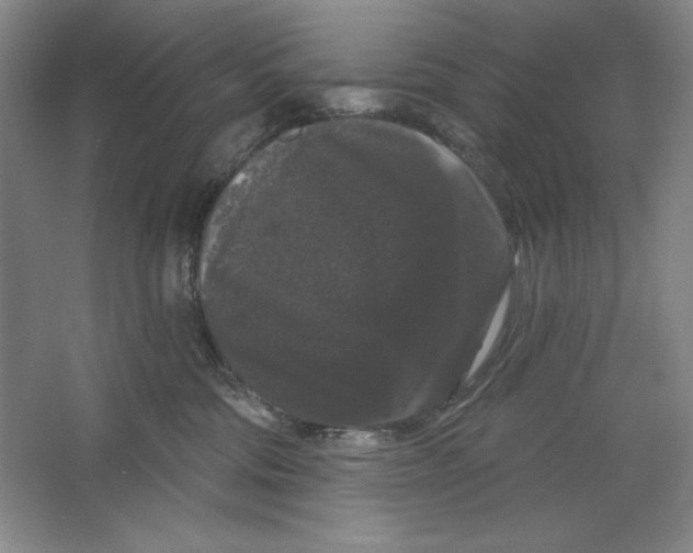 X0000064720330200603031622