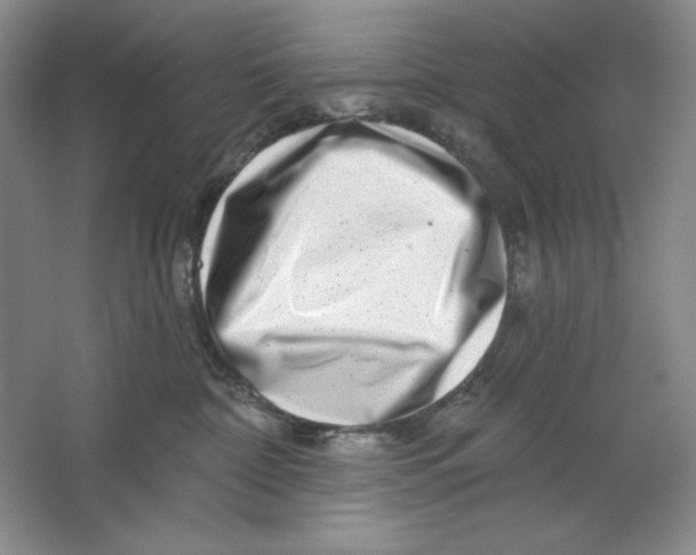 X0000064720332200603031622