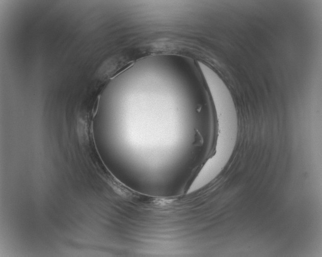 X0000064720333200603031622