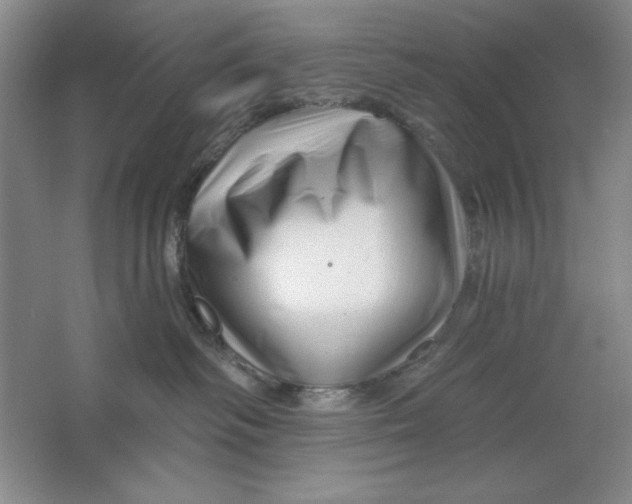 X0000064720334200603031622