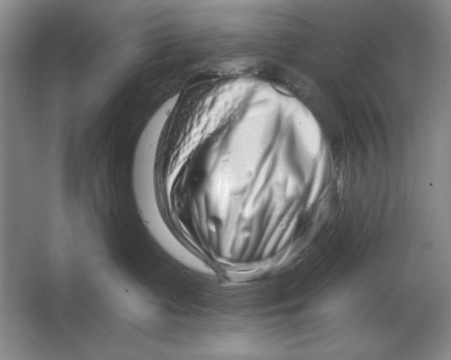 X0000064720335200603031622