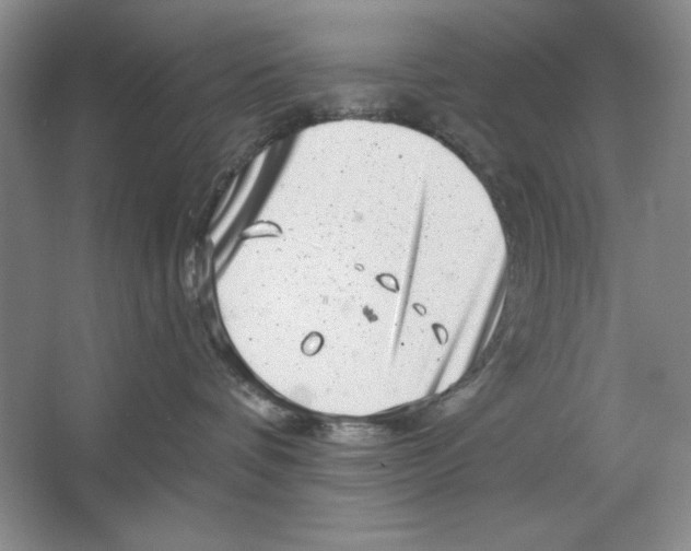 X0000064720336200603031622